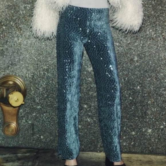 Zara Pants - NWOT Zara Women's Velvet Sequin Straight Leg Zipper Side Stretchy Pants Size XS